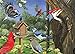 Around The Birdfeeder, A 35-Piece Tray Puzzle by Cobble Hill