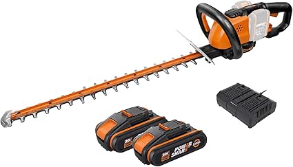 Worx Taille Haie Electrique Wg284e 2 20v 2 0ah Batteries Powershare Longueur De Lame 600mm Diametre De Coupe 27mm Lame A Double Action Securite Triple Effet D Amortissement Poignee Reglable Amazon Fr Bricolage