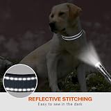 Taglory Reflective Nylon Dog Collar with Safety Buckle Medium Grey view 5