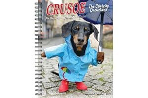 Crusoe the Celebrity Dachshund 2025 6.5" x 8.5" Engagement Calendar