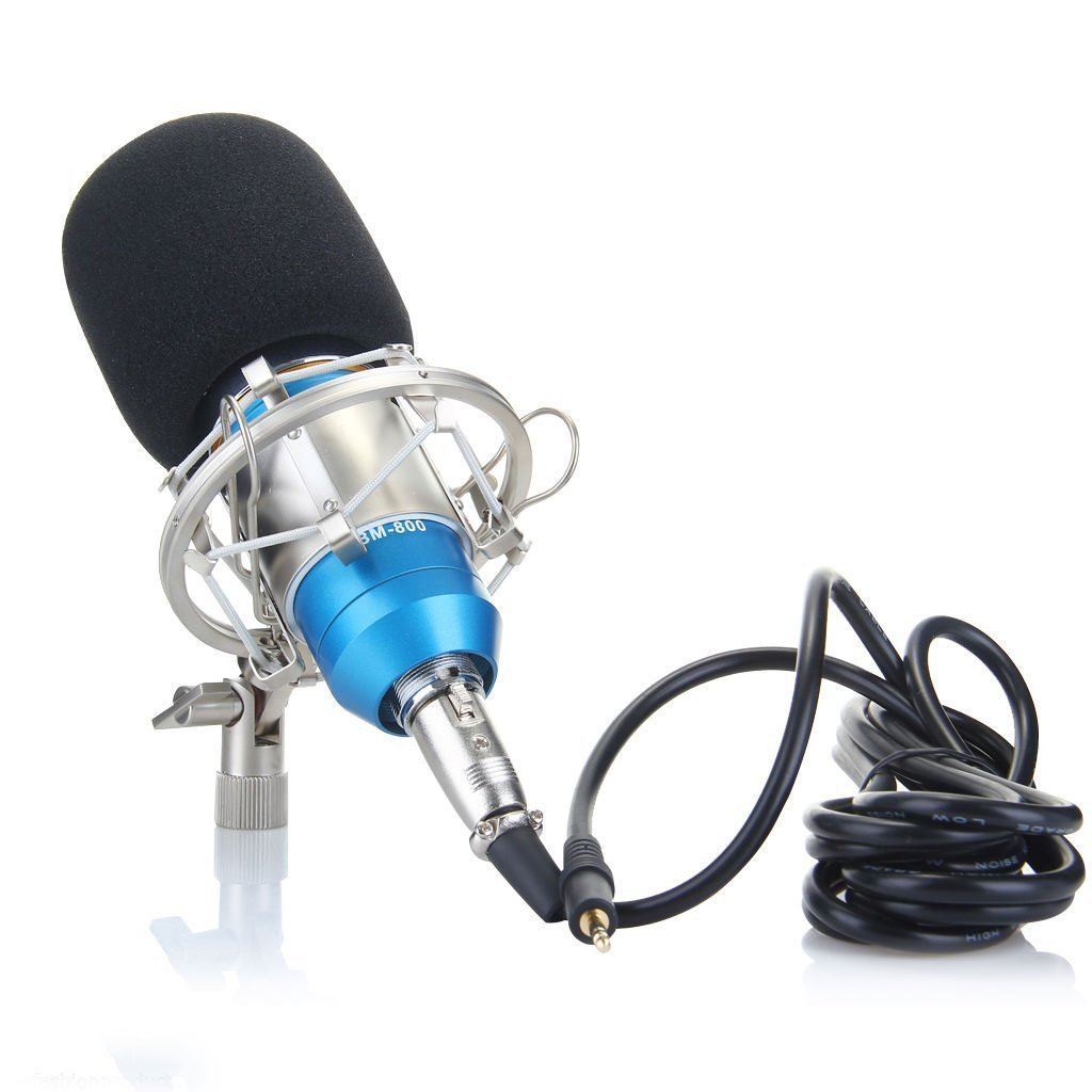 Top 3 Professional Microphones under 2000INR