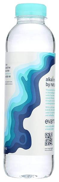 EVAMOR ARTESIAN WATER, 20 OZ