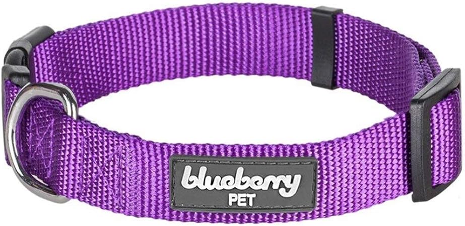 blueberry pet dog collar