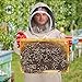 New Professional Medium Cotton Full Body Beekeeping Bee Keeping Suit, with Veil Hood By Aspectek