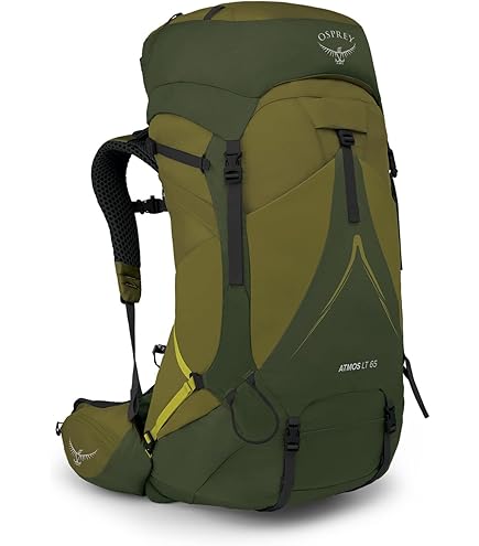 Osprey Aether Plus 70L Men's Backpacking Backpack, Green S-M