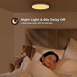 BLNAN RGB Led Flush Mount Ceiling Light with Remote