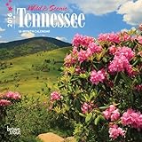 Tennessee, Wild & Scenic 2016 Mini 7x7 by Browntrout Publishers (2015-07-15) by