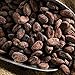 Crio Bru Maya Light Roast | Organic Healthy Brewed Cacao Drink | Great Substitute to Herbal Tea and Coffee | 99% Caffeine Free Keto Whole-30 Low Calorie Honest Energy | Brew and Enjoy Hot or Iced (24oz)