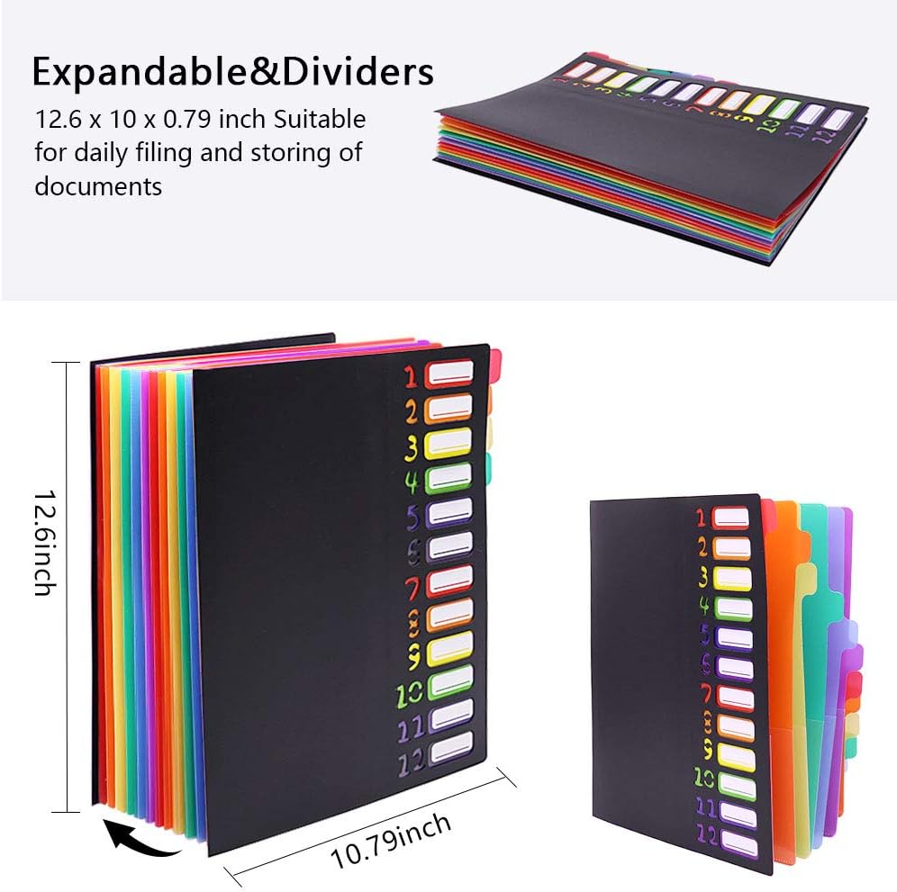 Edufun Expanding File Organizer 24 Pockets, Accordion Folders Letter Size Hold 240 Sheets, Assorted with Rainbow, Designed for Home, Office and School : Office Products