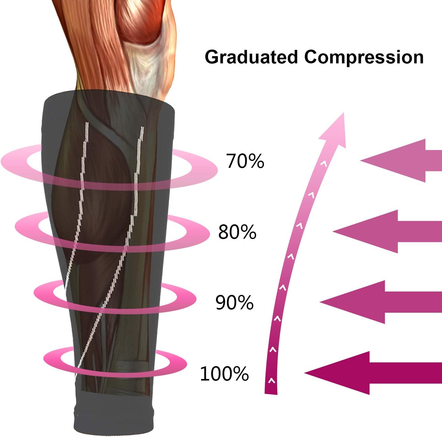 2 Pairs Graduated Calf Compression Sleeves for Men & Women Best