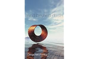 Mind Beyond Death