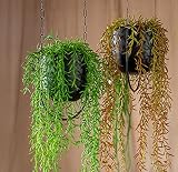 Beihaoer Metal Boho Hanging Planter for Indoor Plants - Black view 4
