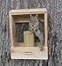 Deluxe Combination Squirrel and Woodpecker Feeder
