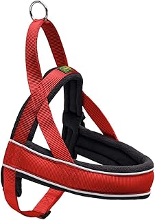 Hunter Norwegergeschirr Racing