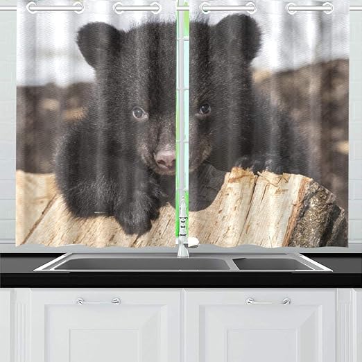 Amazon Com Jtmoving American Black Bear Cub Climbing Playing