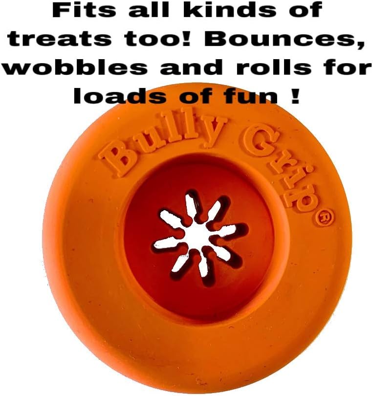 bully proof toys
