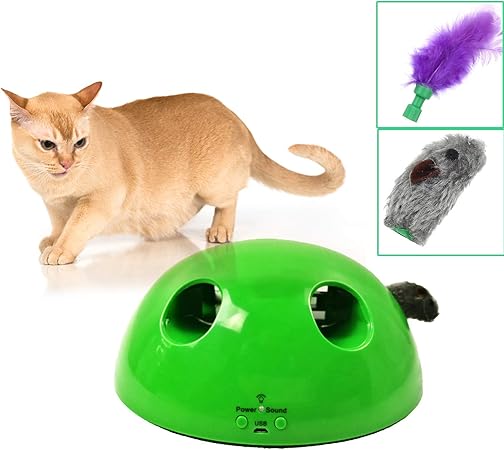 pop n play cat toy amazon