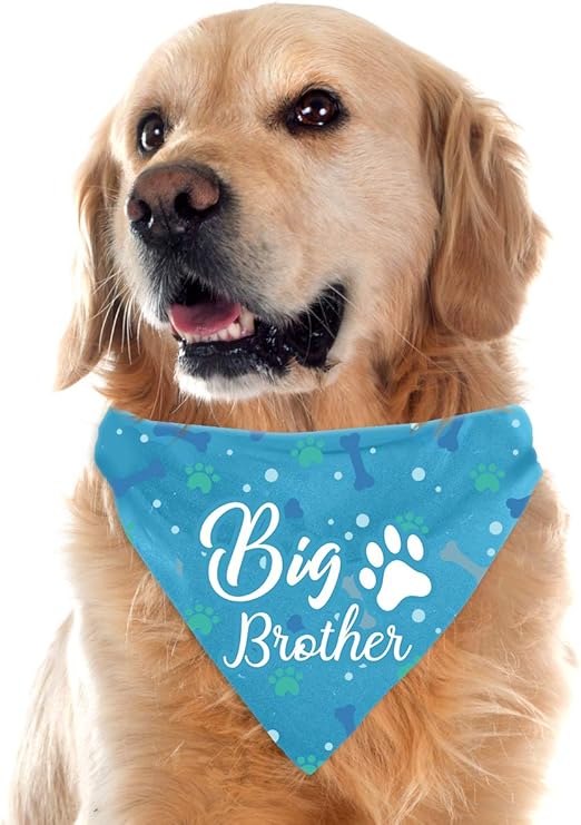 promoted to big brother dog bandana
