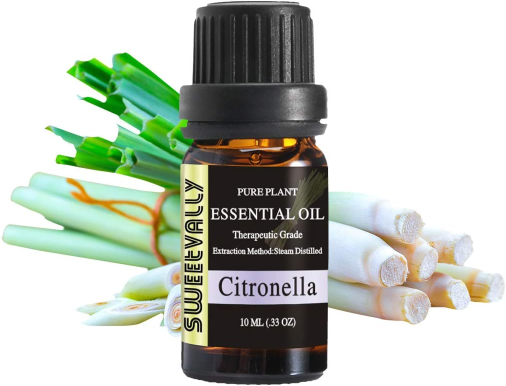 Citronella Essential Oil Organic Pure Essential Oil Amazon.ae