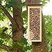 BAMBECO Tall Bee Hotel, 1 EA