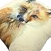 YOUR SMILE Cute Animal Square Decorative Throw Pillows Case Cushion Covers Shell Cotton Linen Blend 18 X 18 Inches (Fox)