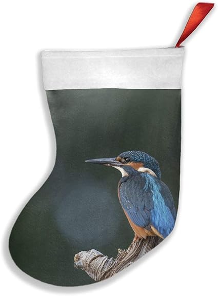 Calcetines de Navidad con diseño de martín pescador de pájaros de