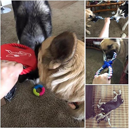 Lobeve Dog Toys Gift Set,Variety No Stuffing Squeaky Plush Dog Toy and Cotton Rope Puppy Toys Bundle for Medium to Small Doggie-New