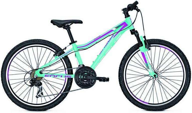 focus raven rookie 24 inch