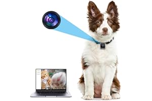 KinetCam Cat Camera Collar,No APP No WiFi Needed Cordless Cat Collar Camera with Video Record, M-Size Collar for Dogs/Big Cats,Pet Collar Camera Outdoor,Camera for Cat Collar(NO SD Card Included)