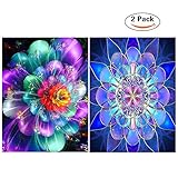 5D DIY Diamond Painting Full Drill, Diamond Paint by Numbers for Adults, Romantic Flowers, Perfect Gift for Families Friends, Cross Stitch DIY Craft - 12 x 16 inch …