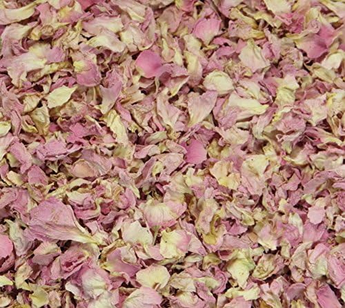 Stripey Finds 1 Litre Natural Petal Confetti - Biodegradable - Many Colour, Type and Mix Options available (10 Pastel Pink)