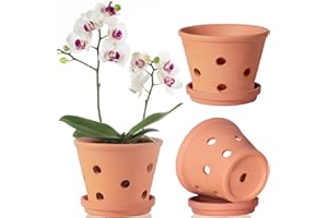 ORCELER 6 Inch Terracotta Orchid Pots with Holes, Saucers - 3 Pack Clay Orchid Planter Pots for Repotting, Small Terra Cotta Pot, Indoor & Outdoor, Promotes Air Circulation
