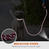 Taglory Rope Dog Lead 1.0 cm 1.5 m Reflective Padded Handle Hotpink Small Dogs view 5
