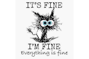 SMJ DESIGNS Its Fine I'm Fine Everything is Fine Cat Dad Cat Mom Funny Sticker Vinyl Waterproof Sticker Decal Car Laptop Wall Window Bumper Sticker 5"