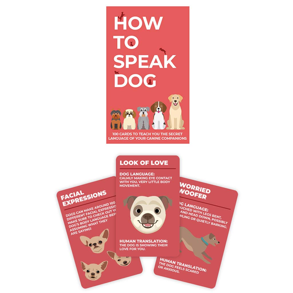 Gift Republic Dog Behaviour Cards Speak, Red, 9x3.5x15 cm