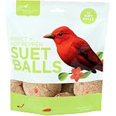 Pacific Bird &amp; Supply Co Insect + Hot Pepper Suet Balls PB-0100 (12 Pack)