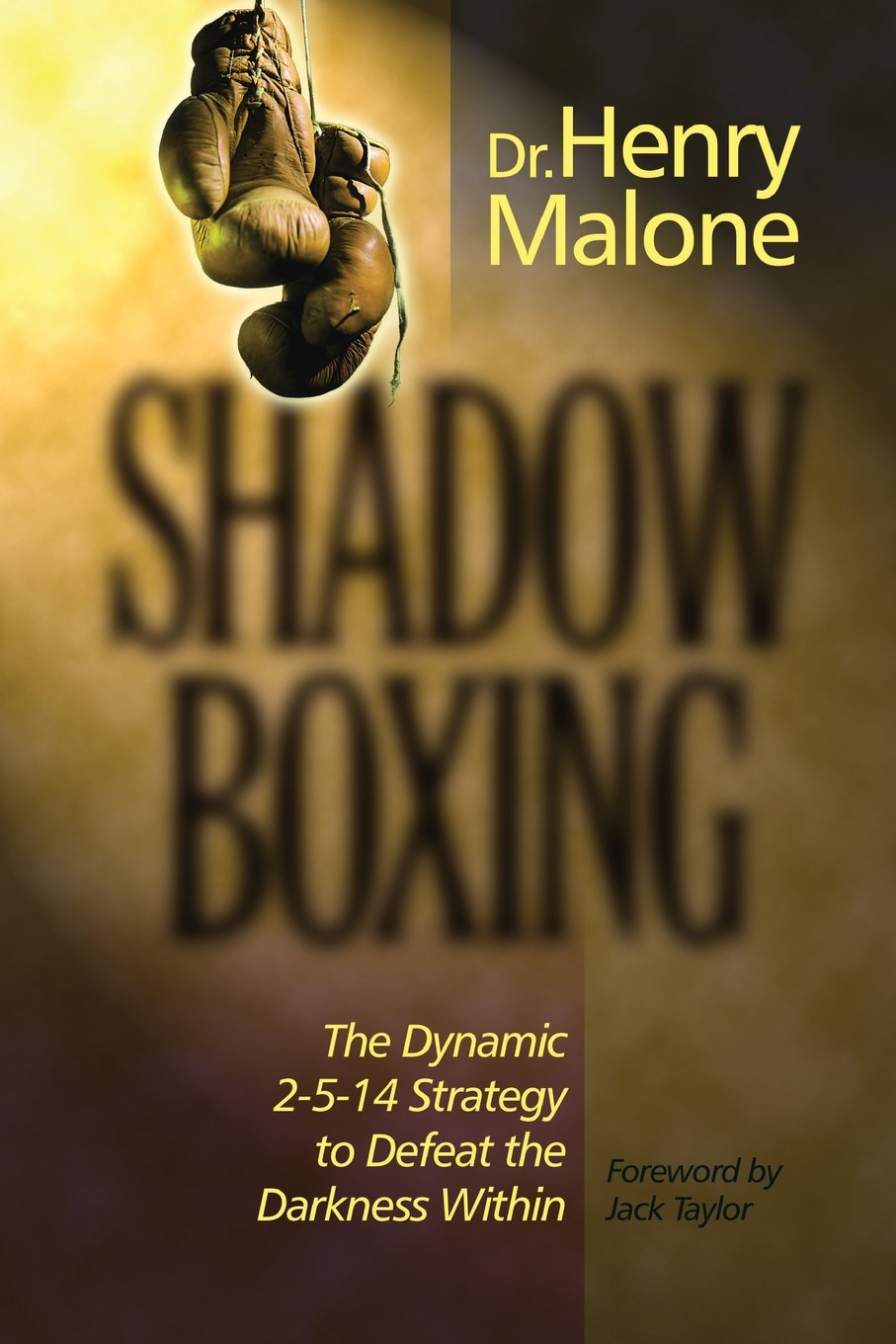 Shadow Boxing The Dynamic 2514 Strategy to Defeat the Darkness