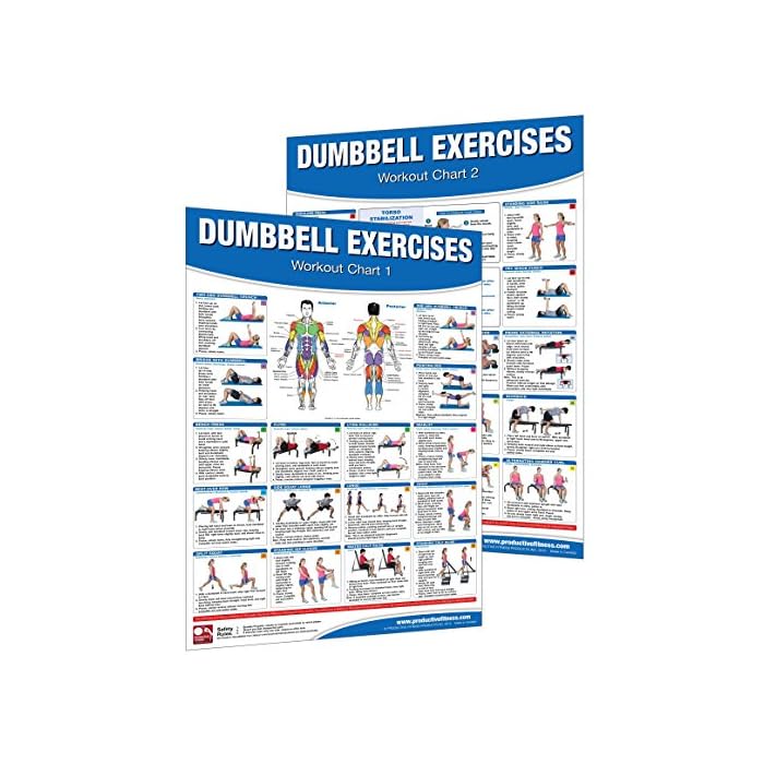 Buy Dumbbell Workout Poster/Chart Set: Shoulder Training - Dumbbell ...