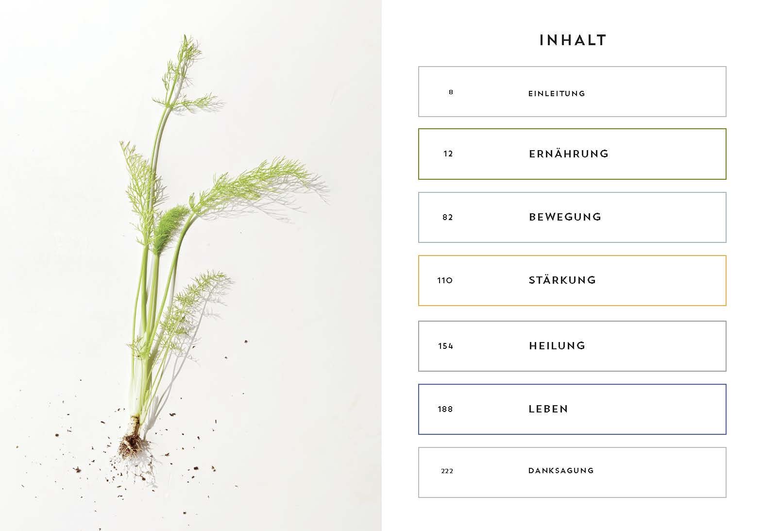 [- Change your Life - Einfache Regeln für ein gesundes Leben -]