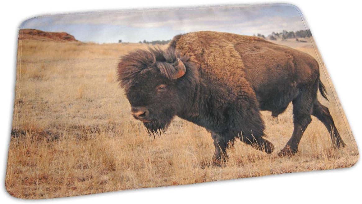 bison changing pad cover