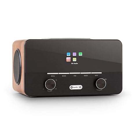 auna Connect 150 WN 2.1-Internetradio (Digitalradio, Netzwerkplayer, Wi-Fi, Spotify-Connect, DAB/DAB+/UKW-Tuner mit RDS, USB,