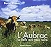 L'Aubrac : La Belle aux yeux noirs by 