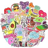 Waterproof Vinyl Aesthetic Stickers for Laptop Water Bottle Room Decor (50Pcs VSCO Girl Style)