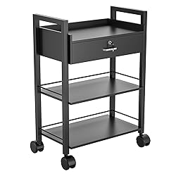 Salon Beauty Cabinet Cart Trolley 2-Layer Rolling