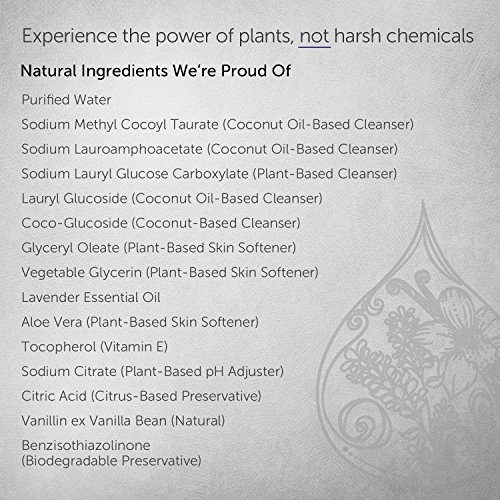 PURACY NATURAL FOAMING HAND SOAP, SULFATE-FREE FOAM, LAVENDER AND VANILLA, 8.5 OUNCE BOTTLE