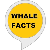 whale facts