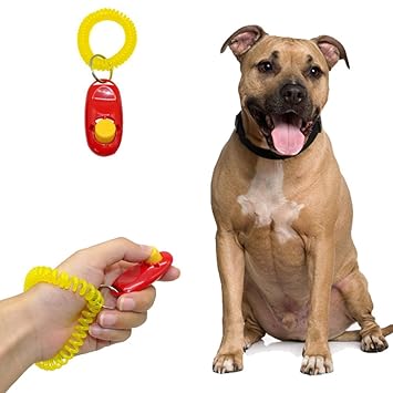 Sage Square Pet Training Clicker with Wrist Strap (Red)