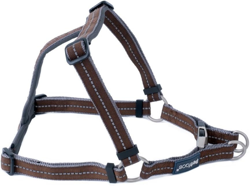 simple goldfish tank