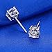 Womens Sterling Silver Cubic Zirconia Round Cut Rhinestone Stud Earrings Roseate Jewelry