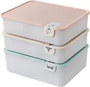 Caja de almacenamiento para ropa interior con tapa 1/10/15 rejillas